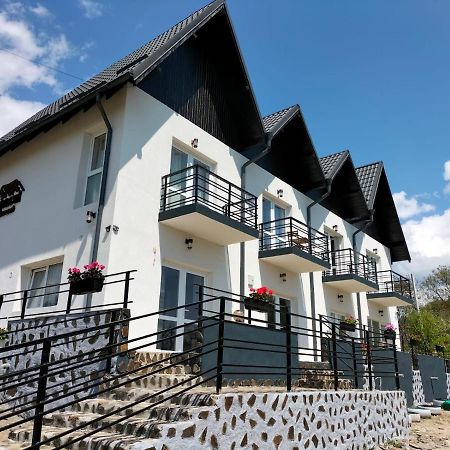 Conacul Doamnei Hotel Nucşoara Exterior foto