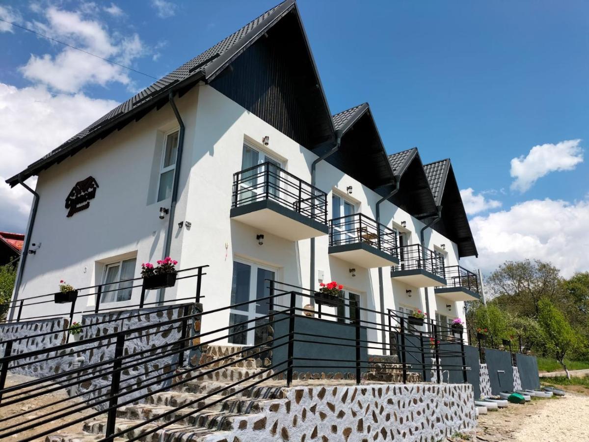 Conacul Doamnei Hotel Nucşoara Exterior foto