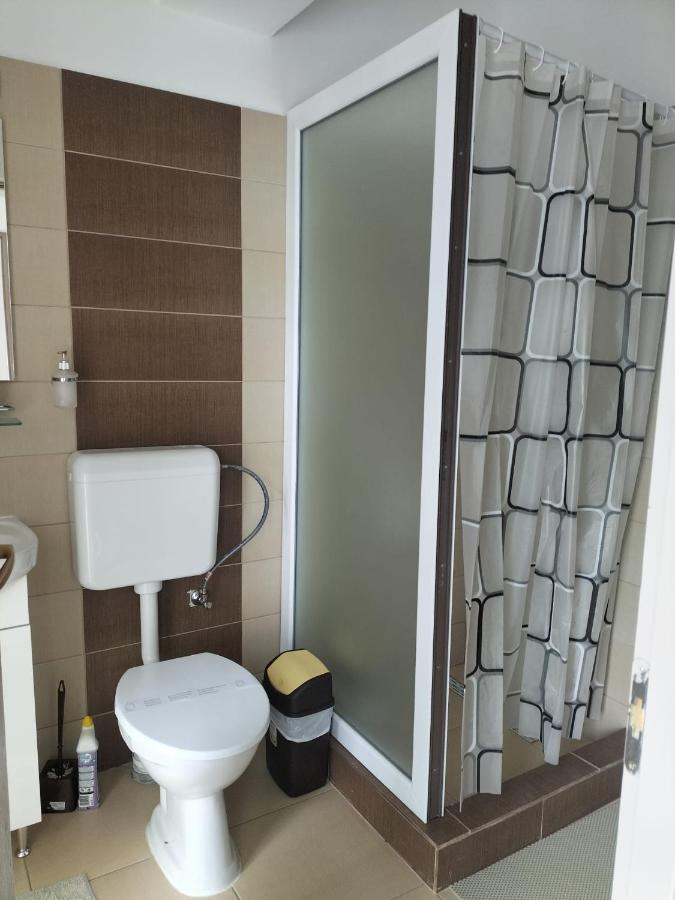 Conacul Doamnei Hotel Nucşoara Exterior foto
