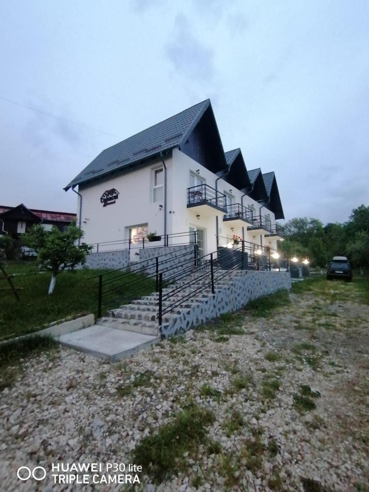 Conacul Doamnei Hotel Nucşoara Exterior foto