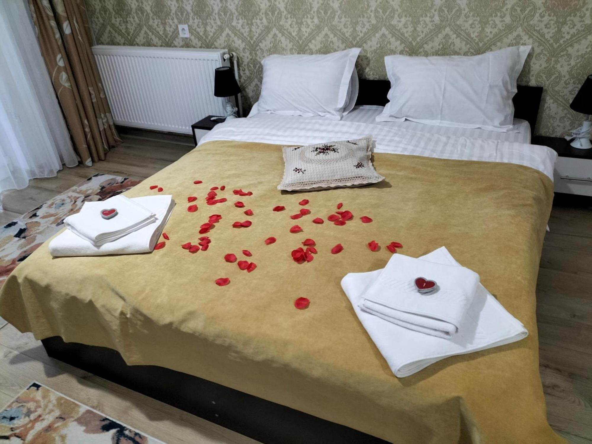 Conacul Doamnei Hotel Nucşoara Exterior foto
