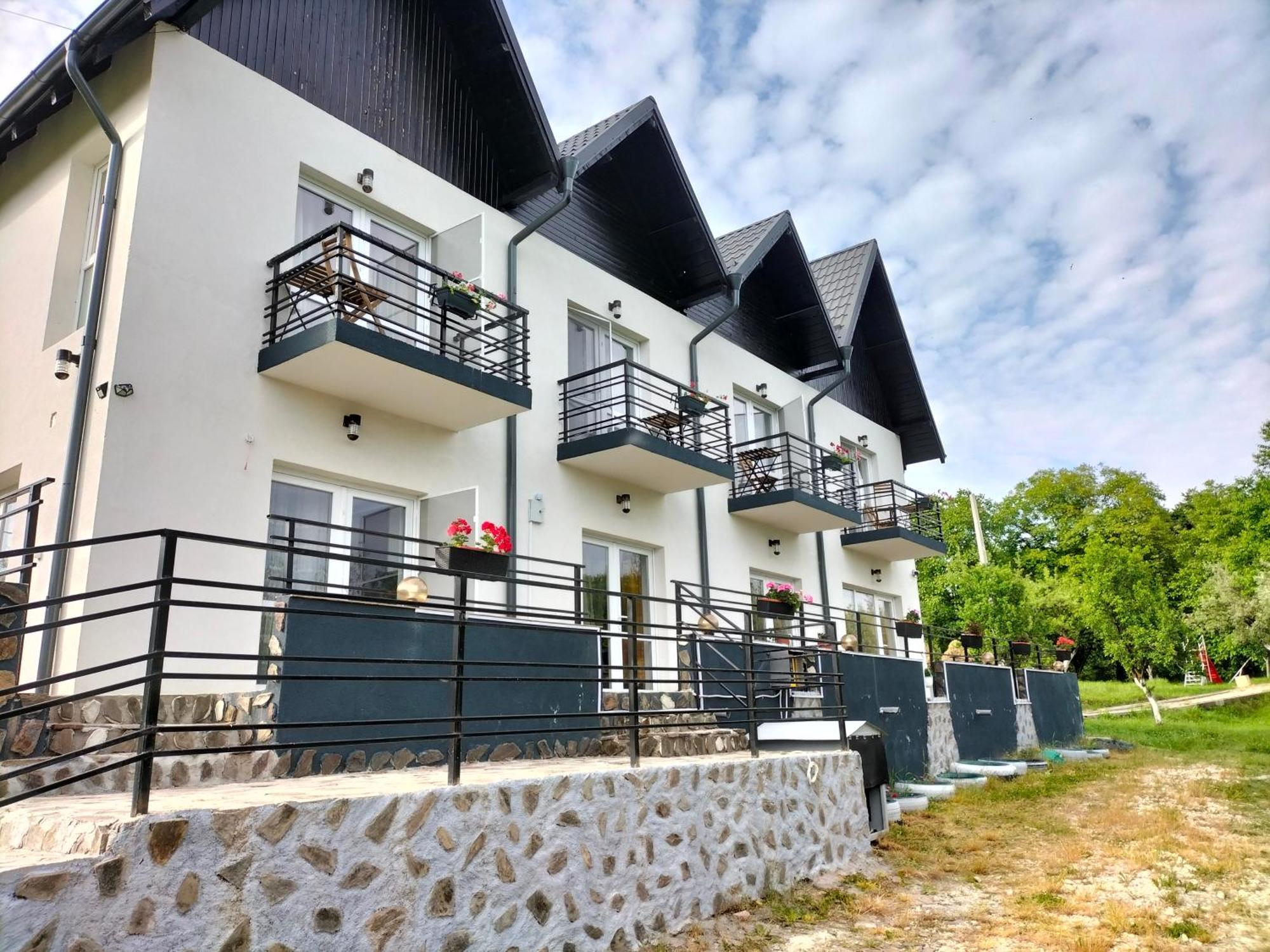 Conacul Doamnei Hotel Nucşoara Exterior foto