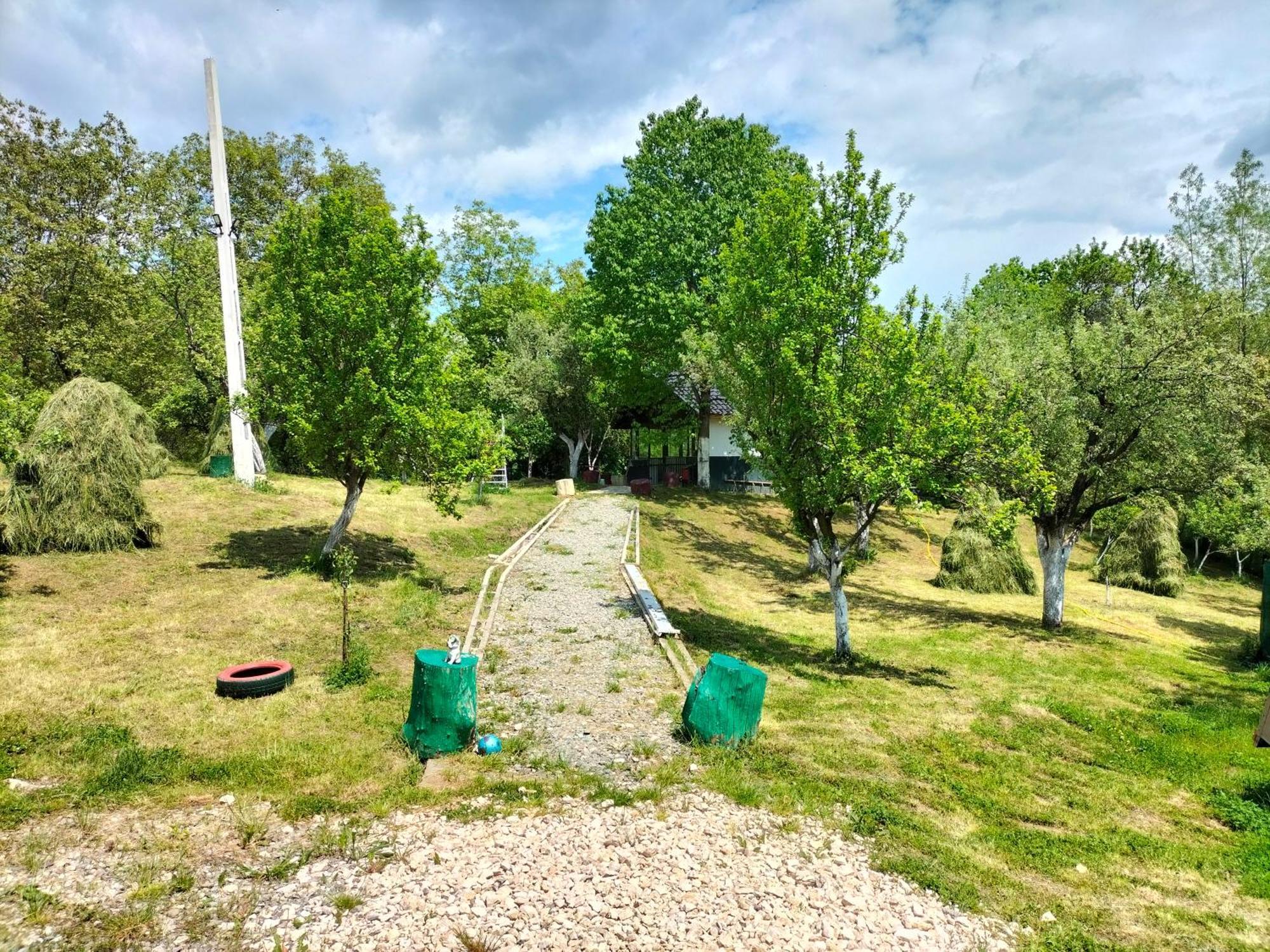 Conacul Doamnei Hotel Nucşoara Exterior foto